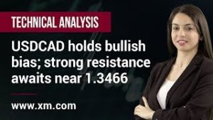 Technical Analysis: 29/03/2019 – USDCAD holds bullish bias; strong resistance awaits near 1.3466
