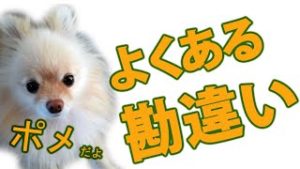 トレンドラインの核心、超有名だけど勘違いしている人が多いテクニカルツール。