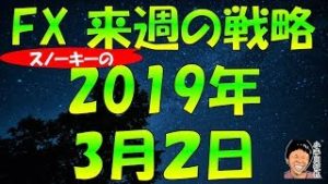 GDPがポジティブサプライズ 米ドル円上昇 FX スノーキー(小手川征也)の来週の戦略 2019年3月2日