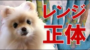FX為替 レンジの正体、レンジでも稼げるトレーダーの思考法。