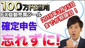 FX自動売買ツール 会社員なら年間●0万円超の所得で!?初心者さんでも稼いだなら税金納税 確定申告お忘れずに!【元金100万円&10万円口座検証】