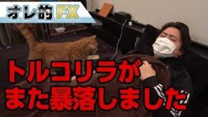 FX、トルコリラがまた暴落しました。