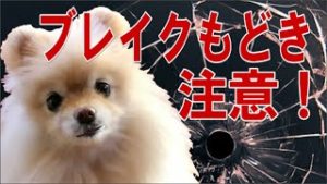 FX（為替）ブレイクアウト攻略術、本物ブレイクとモドキの見極め方。