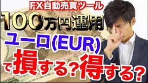 FX自動売買ツール ユーロで損しない為の運用方法！初心者でも月利30%の副業のススメランキング1位【元金100万円&10万円口座検証】
