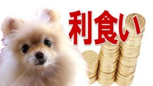 FX　押し目買いの利食いはどこでする？