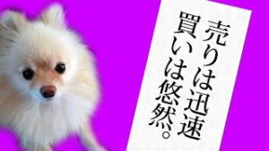FX　『売りは迅速、買いは悠然』売りと買いではエントリーの心構えが違う