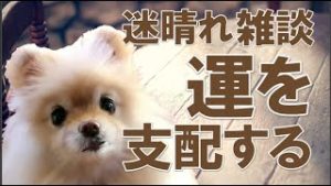 FX 「運」を支配する、勝負強い人の思考と行動。
