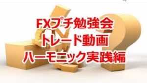 FXプチ勉強会 ﾄﾚｰﾄﾞ動画 ハーモニック実践編