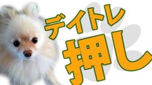 スキャルピングよりも、デイトレードを押す理由。