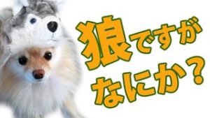 レジスタンスとサポートの強弱がわかれば、優位性の高いトレードができる。