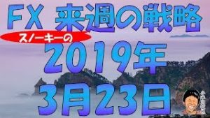 GWに向けて下げ基調は続く？FX スノーキー(小手川征也)の来週の戦略 2019年3月23日