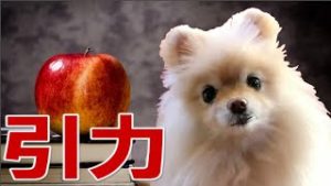FX　「値」の引力、相場の鉄板法則はこれだ。