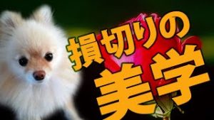 FX 後悔しない損切りポイント、理に適った損切りは美しい。