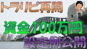 トラリピ 資金100万円で再開 設定例公開 スノーキー