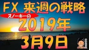 押し目買いのチャンス？トレンド転換？FX スノーキー(小手川征也)の来週の戦略 2019年3月9日