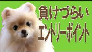 FX 負けづらいエントリー・ポイント、たった２つの見極め方。