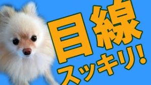 目線スッキリ、チャートをシンプルにするNゾーンと３本の水平線。