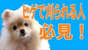 FX ローソク足と時間足、ヒゲで刈られなくなるシンプルな考え方。