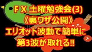 FX エリオット波動で簡単に第3波が取れる！