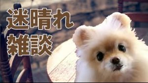 FX 迷晴れ雑談　お金をドブに捨てるムダトレードを無くす方法