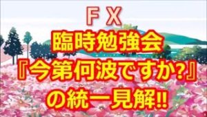 FX臨時勉強会『今第何波ですか?』の統一見解‼