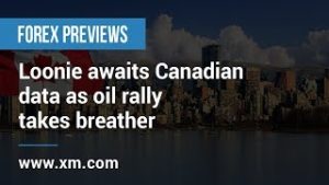 Forex Previews: 16/04/2019 – Loonie awaits Canadian data as oil rally takes breather