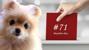 【迷ボ#71】少数派は多数派の心の声を聴くべし！！