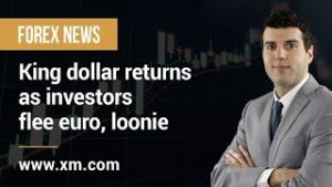 Forex News: 25/04/2019 – King dollar returns as investors flee euro, loonie