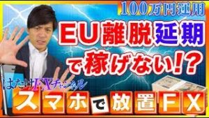 EU離脱問題6か月間延期で運用状況はどう変わる!? bitwallet出金できない問題 XMからの回答とは？FX自動売買ツール【元金100万円&10万円口座検証】