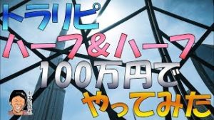 トラリピ 資金100万円 ユーロドル ハーフ＆ハーフ設定例