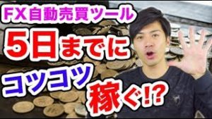 FX自動売買ツール 5日の雇用統計までコツコツ稼ぐ！月利30%以上の初心者向き副収入EA【元金100万円&10万円口座検証】