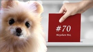 【迷ボ#70】弱者は強者と同じ戦い方をしてはいけない。