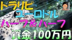 トラリピ 資金100万円 ユーロドル ハーフ＆ハーフ設定変更 2019年5月