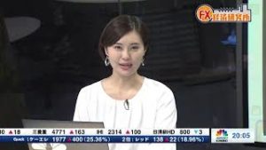 2019年5月14日放送　日経CNBC　『FX経済研究所』
