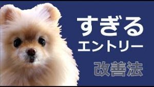 すぎるエントリー改善法。