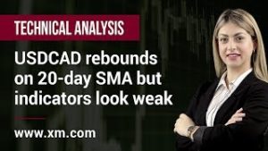 Technical Analysis: 10/05/2019 – USDCAD rebounds on 20-day SMA but indicators look weak