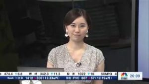 2019年5月31日放送　日経CNBC　『FX経済研究所』