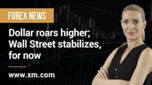 Forex News: 30/05/2019 – Dollar roars higher; Wall Street stabilizes, for now