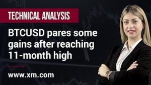 Technical Analysis: 16/05/2019 – BTCUSD pares some gains after reaching 11-month high