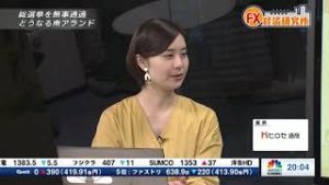 2019年5月15日放送　日経CNBC　『FX経済研究所』