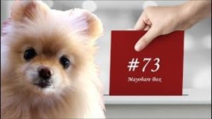 【迷ボ#73】上位足は前提、下位足は条件、「前提条件」がトレードの成功率を劇的に高める。