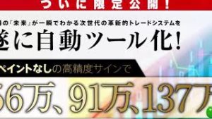 未来予知FX個人的な感想評価レビュー