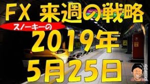 株高・米ドル売りか FX スノーキー(小手川征也)の来週の戦略 2019年5月25日