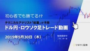追加戦略は110.09差し込みでの売り【190530ドル円・ロウソク足トレード動画】FX予想