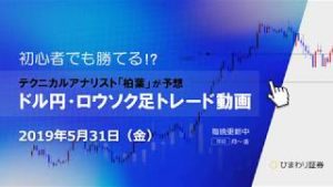 2019年5月の運用成績【190531ドル円・ロウソク足トレード動画】FX予想