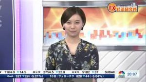 2019年6月13日放送　日経CNBC　『FX経済研究所』