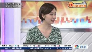 2019年6月14日放送　日経CNBC　『FX経済研究所』
