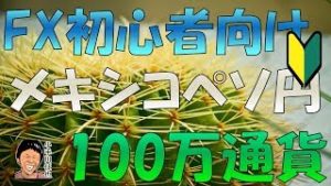 FX メキシコペソ円 100万通貨 スワップポイント投資の注意点【大損しないために】