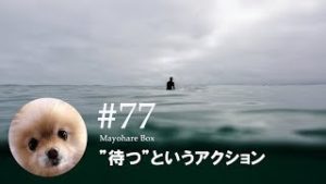 【迷ボ#77】”待つ”というアクション。