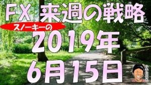 香港デモ収束？トルコ格下げ スノーキー(小手川征也)の来週の戦略 2019年6月15日